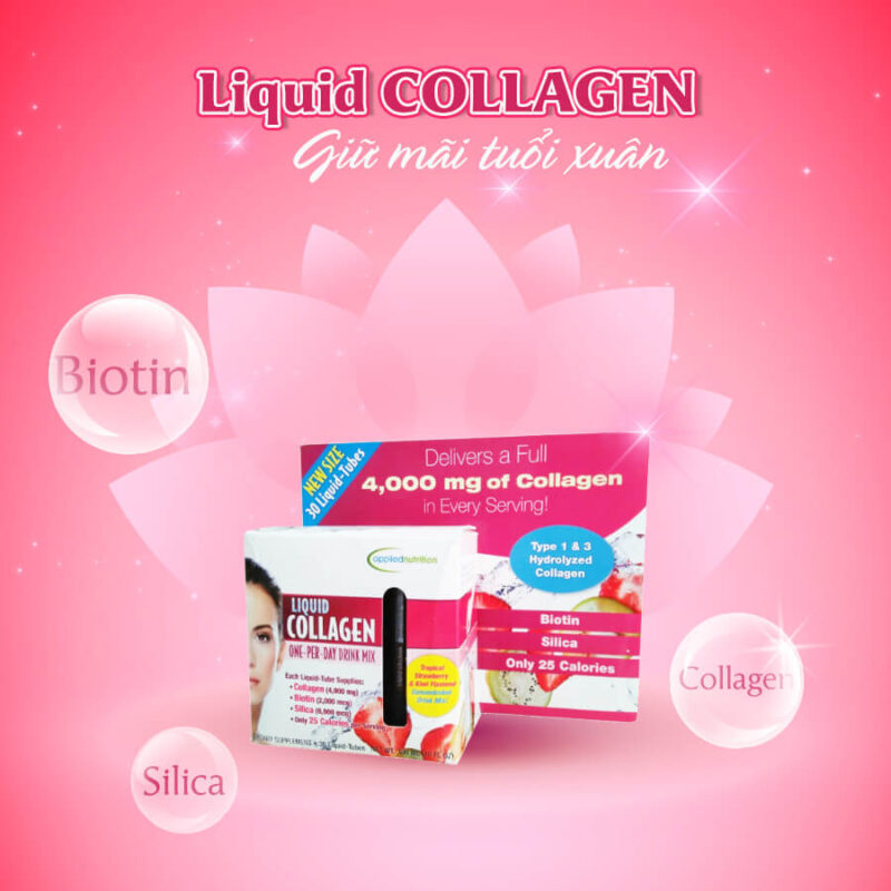 Thành phần nổi bật của Collagen Liquid 
