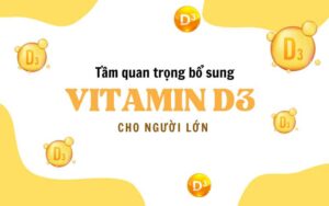 Vitamin D3 Có Tác Dụng Gì Cho Cơ Thể? 3 Cách Bổ Sung Vitamin D3 Cho Người Lớn Hiệu Quả Nhất