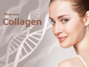 Collagen Có Những Loại Nào? Cách Lựa Chọn Collagen Mang Lại Hiệu Quả Cao