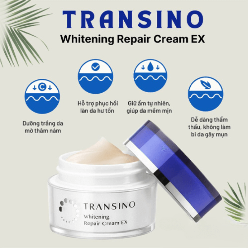 Kem Dưỡng Trị Thâm Nám Ban Đêm Transino Whitening Repair Cream (35g)