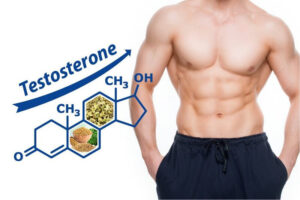 Nam giới bị suy giảm Testosterone phải làm sao? 7 Thực phẩm giàu Testosterone cho nam giới tốt nhất
